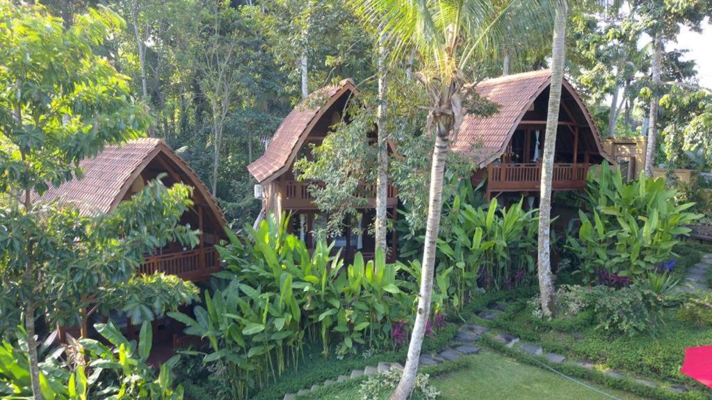 The Jungle Villa Ubud Exteriér fotografie